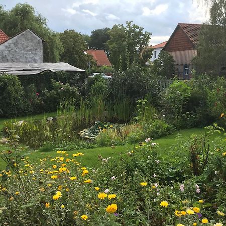 Schoene Gemuetliche Ferienwohnung Mit Kamin I Im Harz Darlingerode Exteriör bild