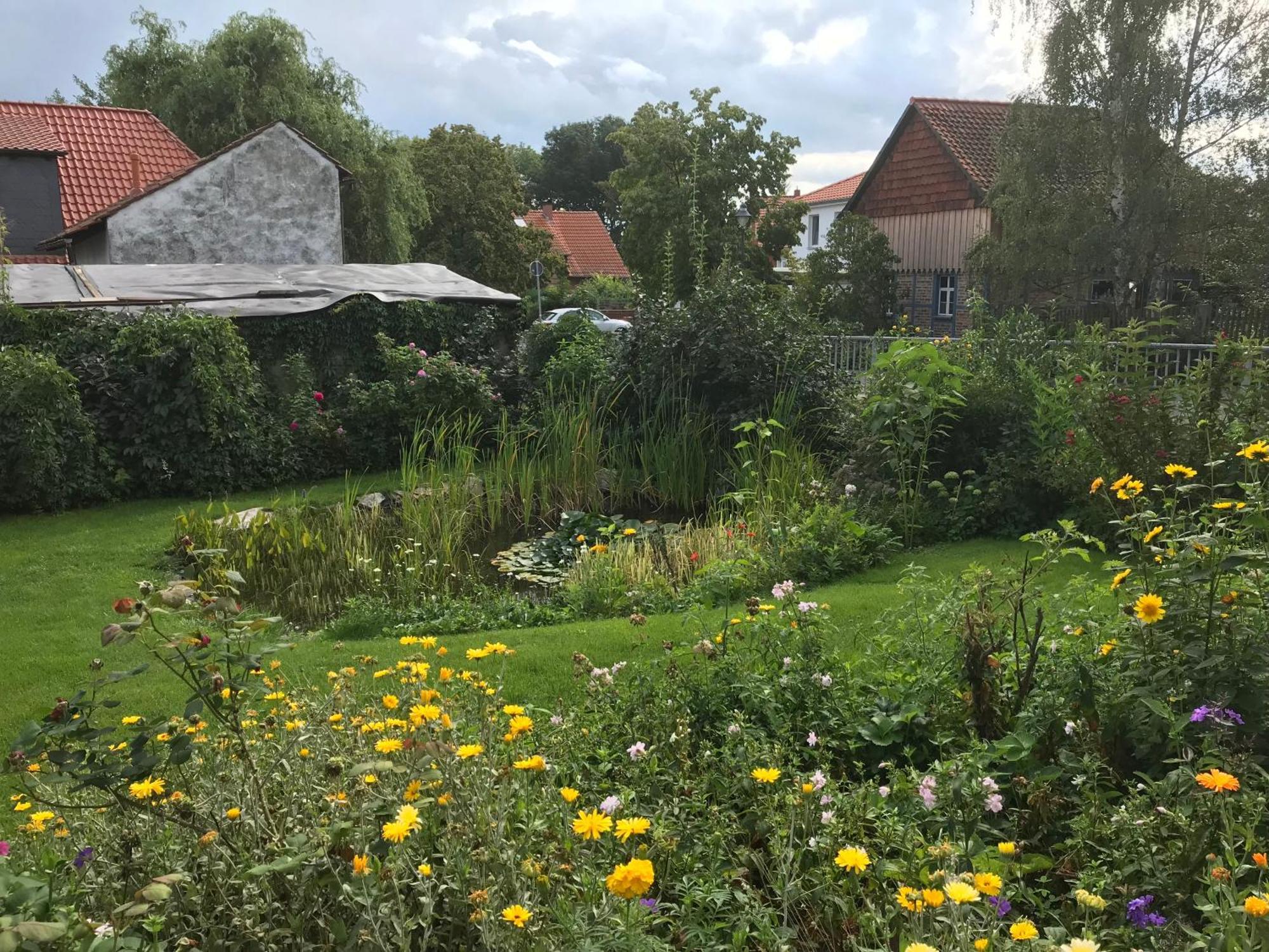 Schoene Gemuetliche Ferienwohnung Mit Kamin I Im Harz Darlingerode Exteriör bild