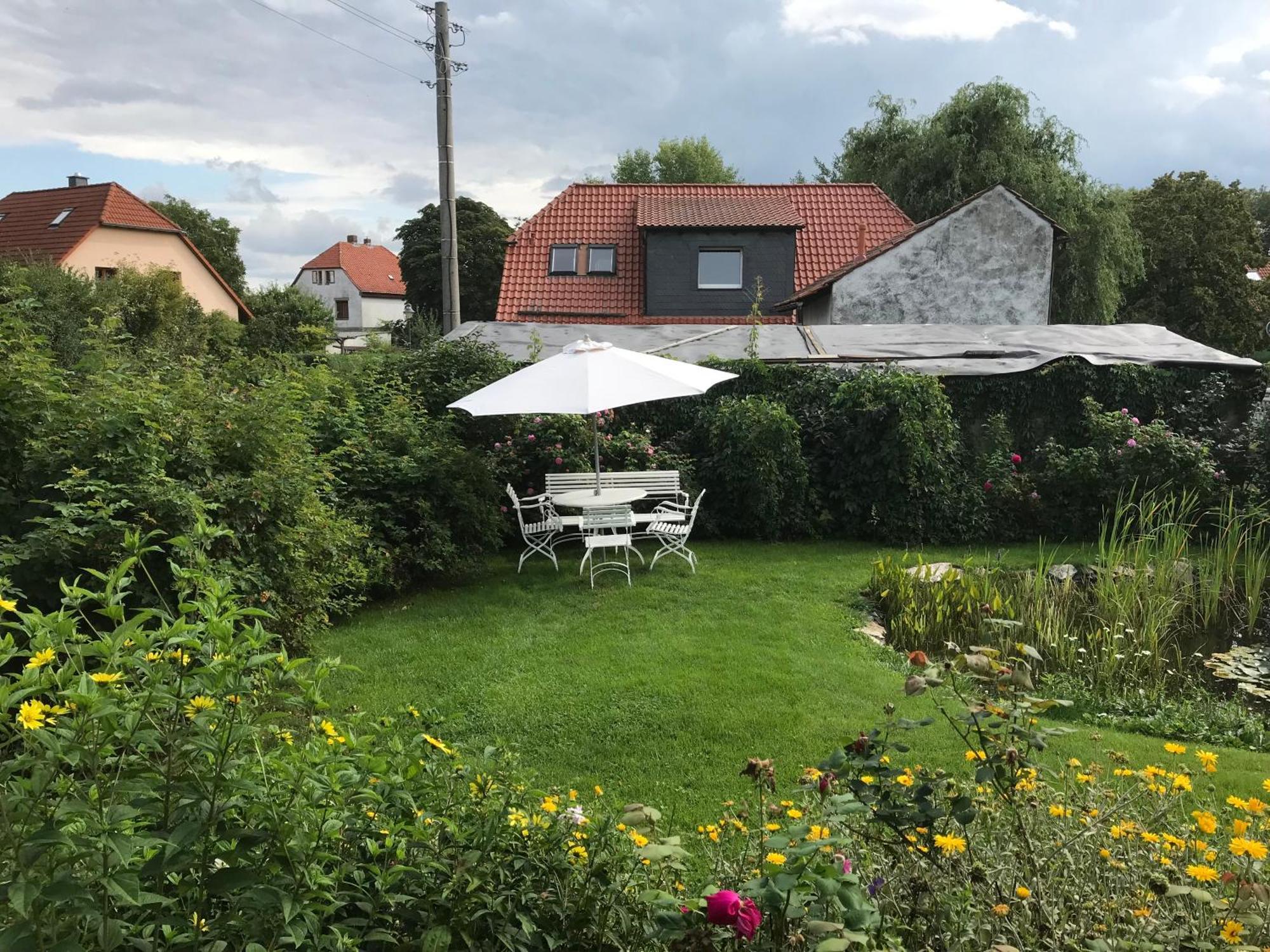 Schoene Gemuetliche Ferienwohnung Mit Kamin I Im Harz Darlingerode Exteriör bild