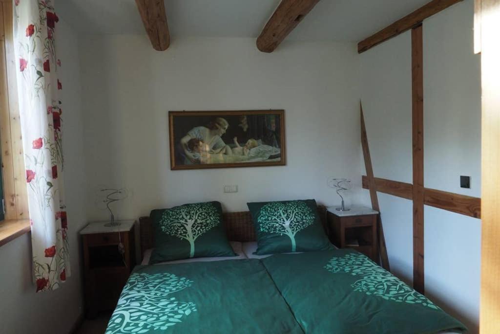 Schoene Gemuetliche Ferienwohnung Mit Kamin I Im Harz Darlingerode Exteriör bild